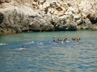  Excursiones de snorkel 